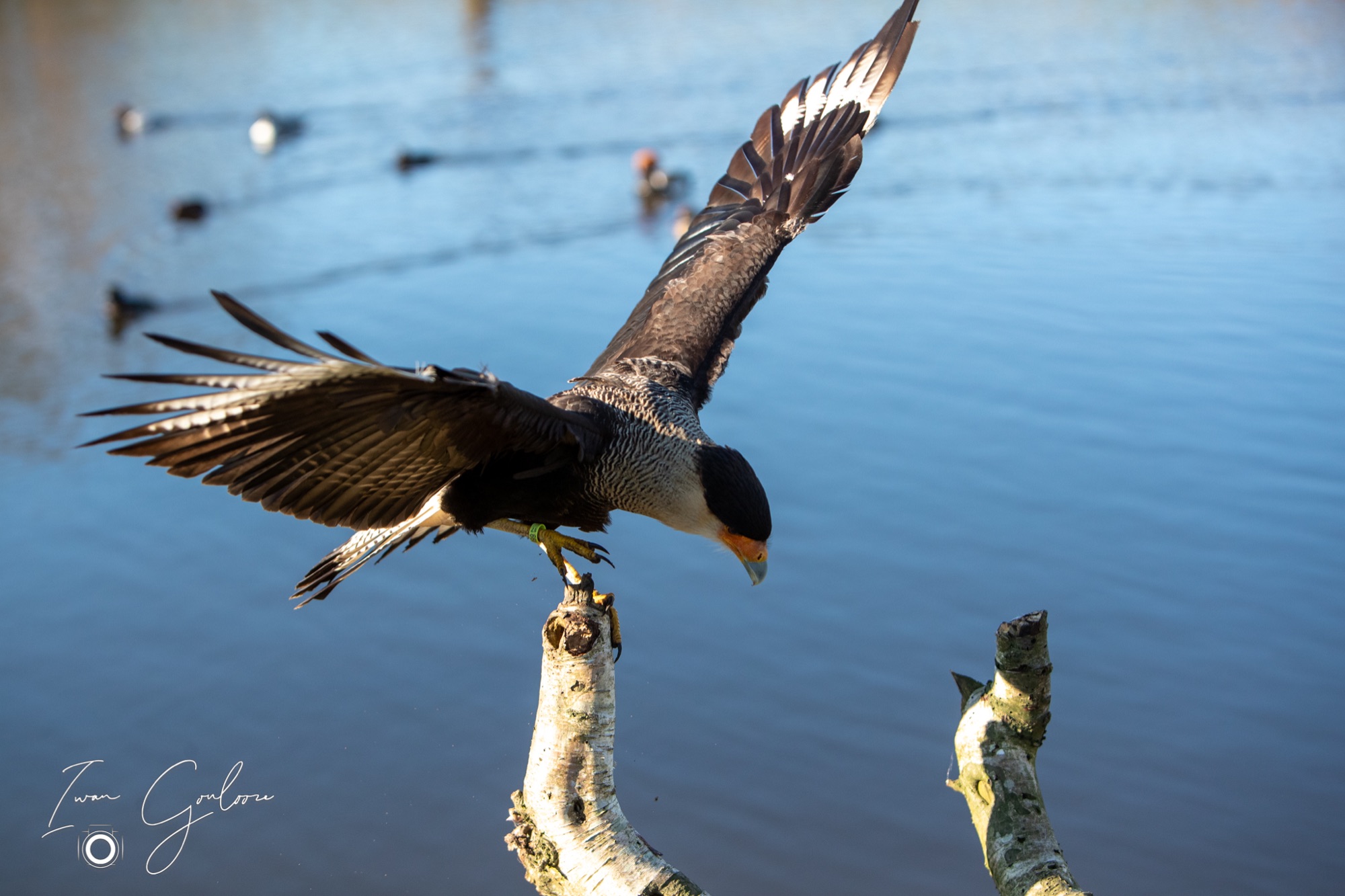 04 maart 2022 163629 1DX44498